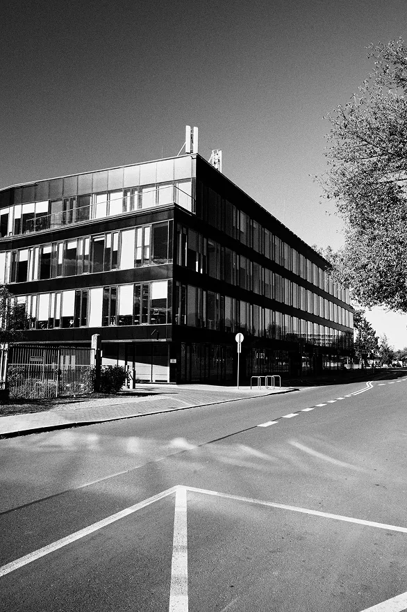 Biurowiec Diamante Plaza oraz ule na dachu, 2024-2025