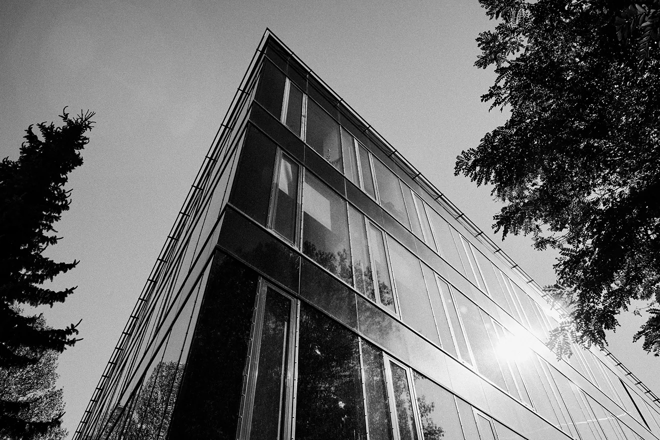 Biurowiec Diamante Plaza oraz ule na dachu, 2024-2025