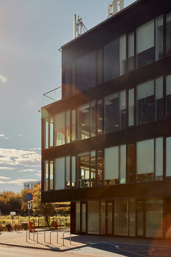 Biurowiec Diamante Plaza oraz ule na dachu, 2024-2025