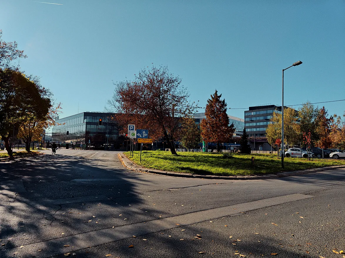 Biurowiec Diamante Plaza oraz ule na dachu, 2024-2025